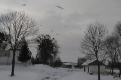 par-turowiec-marzec-2018-02