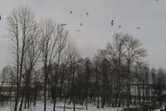 par-turowiec-marzec-2018-03